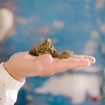 Использование семени конопли в корме для животных