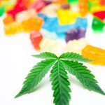 Семена конопли Auto Exodus Cheese feminised от Green House Seeds