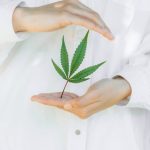 Магазин по продаже семян марихуаны: как выбрать и что ожидать image_488.jpg