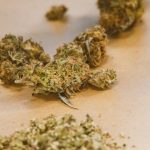 Экстракт из семян конопли полезные свойства и применение