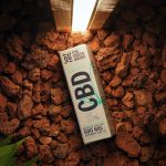 Семена конопли польза и применение в кулинарии и медицине