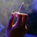 Семена конопли Auto Tangelo Rapido feminised от Ganja Seeds image_61.jpg