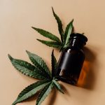 Преимущества и особенности семян конопли