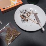 Семена конопли Snow Bud feminised от Dutch Passion Seeds