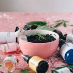 Оптовая покупка семян конопли преимущества и особенности