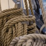 Семена конопли Big Bull feminised от Kannabia Seeds images298.jpg