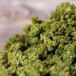 Семена марихуаны АК 47 особенности выращивания и преимущества сорта images318.jpg