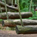 Целебные свойства семян конопли и их применение