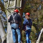 Как поджарить семена конопли images427.jpg