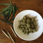 Семена конопли Dzagi: особенности и преимущества бренда