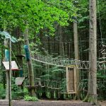 Семена конопли Auto X.Treme feminised от Ganja Seeds